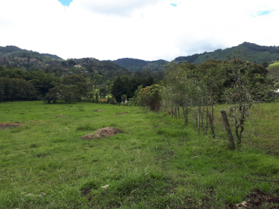 Lote en venta en Los Salados, El Retiro, 11359 m² · foto 5 de 15