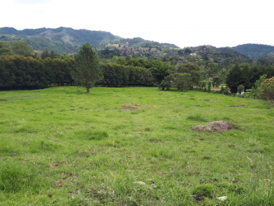 Lote en venta en Los Salados, El Retiro, 11359 m² · foto 6 de 15