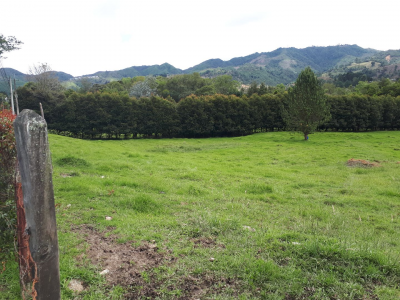 Lote en venta en Los Salados, El Retiro, 11359 m² · foto 7 de 15
