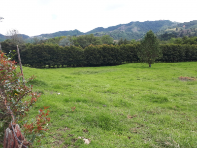 Lote en venta en Los Salados, El Retiro, 11359 m² · foto 10 de 15