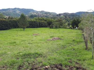 Lote en venta en Los Salados, El Retiro, 11359 m² · foto 11 de 15