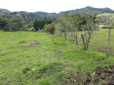 Lote en venta en Los Salados, El Retiro, 11359 m² · foto 12 de 15