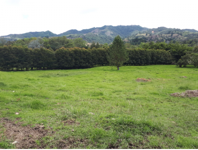 Lote en venta en Los Salados, El Retiro, 11359 m² · foto 13 de 15