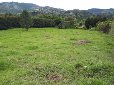 Lote en venta en Los Salados, El Retiro, 11359 m² · foto 14 de 15