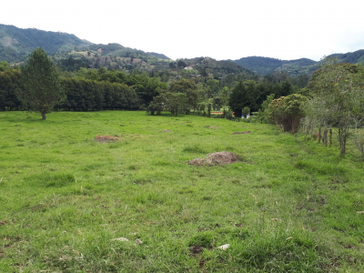 Lote en venta en Los Salados, El Retiro, 11359 m² · foto 15 de 15