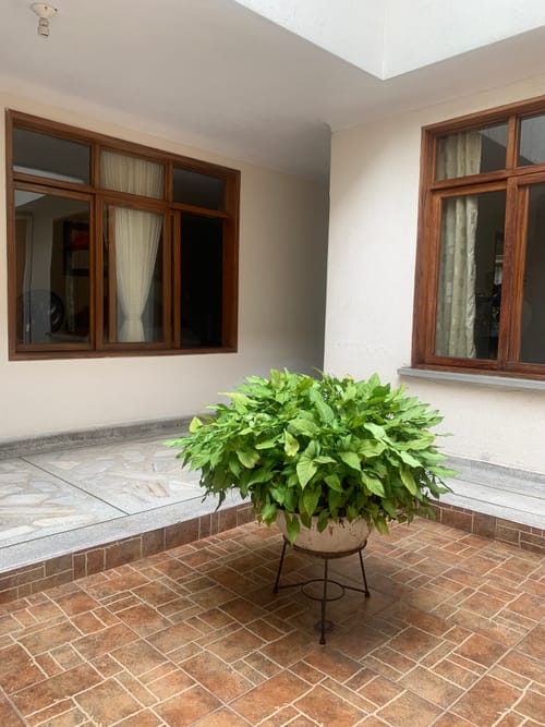 Casa de 5 alcobas en venta en San Fernando Nuevo, Cali, 300 m² · foto 9 de 18
