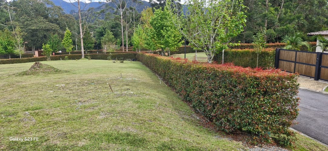 Lote en venta en El Carmen De Viboral, El Carmen de Viboral, 2530 m² · foto 3 de 12