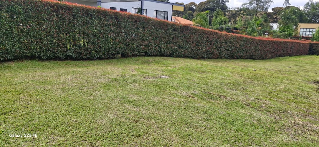 Lote en venta en El Carmen De Viboral, El Carmen de Viboral, 2530 m² · foto 7 de 12