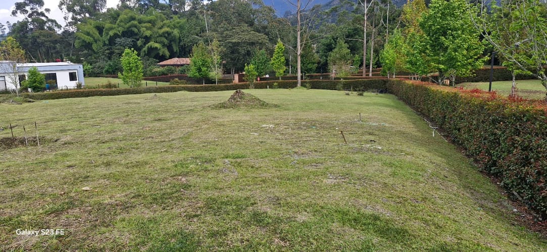 Lote en venta en El Carmen De Viboral, El Carmen de Viboral, 2530 m² · foto 8 de 12