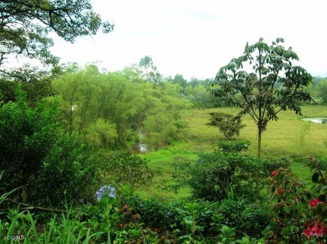 Finca en venta en Llano Grande, Rionegro, 47000 m² · foto 5 de 18