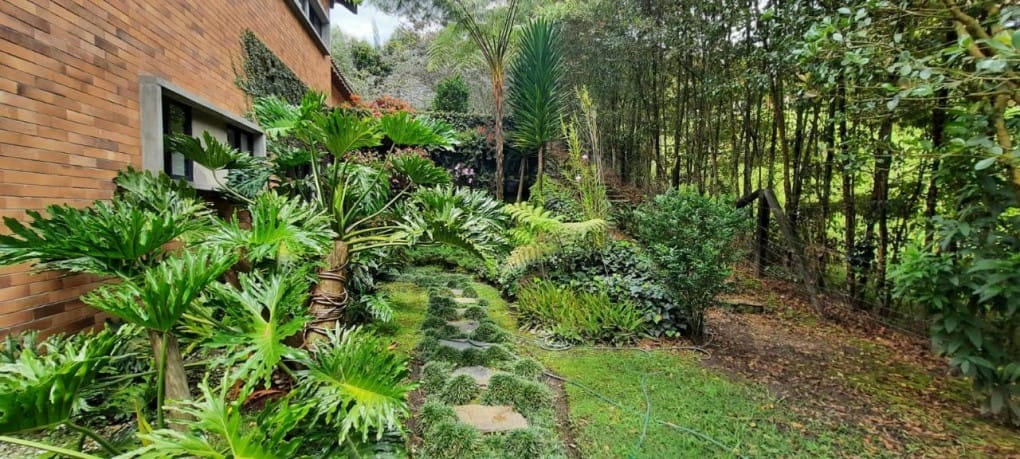 Finca en venta en El Porvenir, Rionegro, 3800 m² · foto 8 de 21