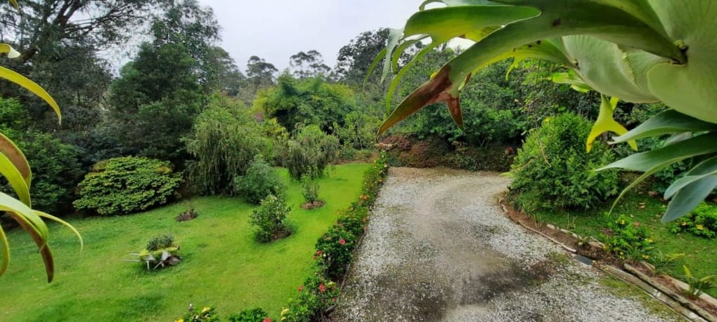 Finca en venta en El Porvenir, Rionegro, 3800 m² · foto 9 de 21
