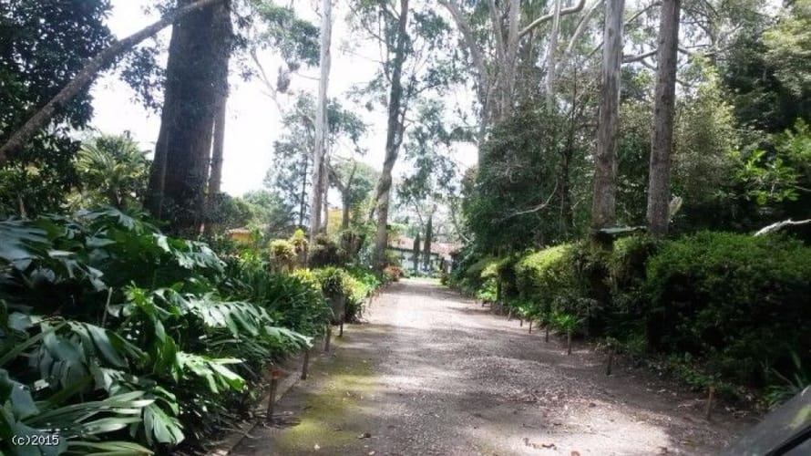 Finca en venta en Llano Grande, Rionegro, 47000 m² · foto 9 de 18