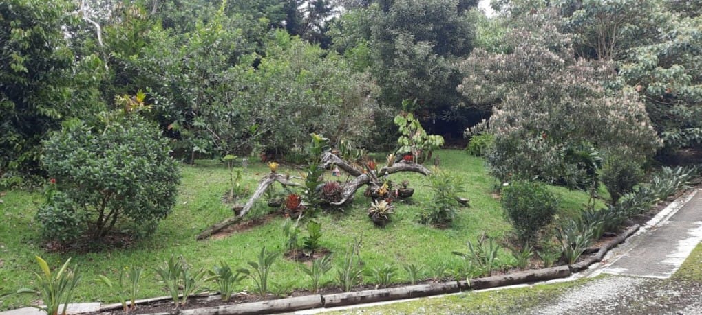 Finca en venta en El Porvenir, Rionegro, 3800 m² · foto 11 de 21