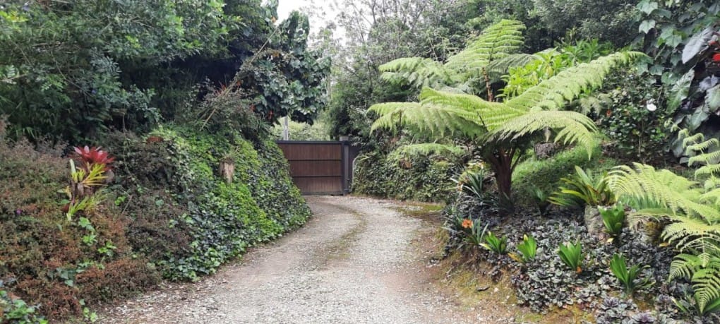 Finca en venta en El Porvenir, Rionegro, 3800 m² · foto 12 de 21