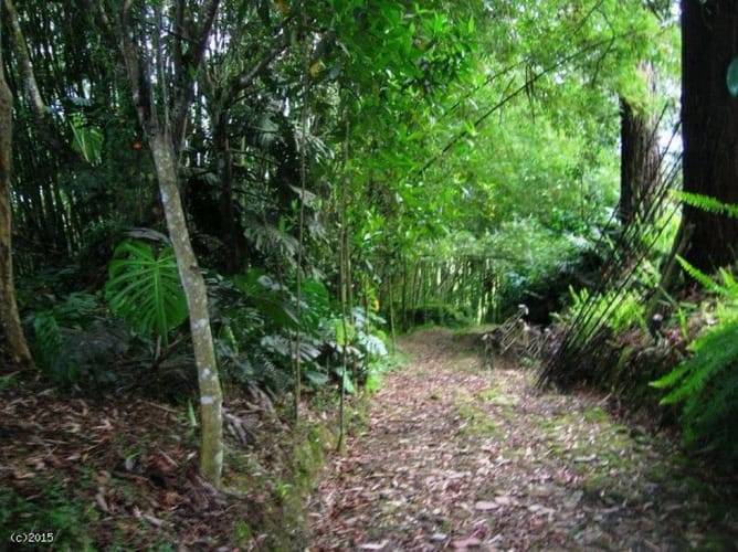Finca en venta en Llano Grande, Rionegro, 47000 m² · foto 11 de 18