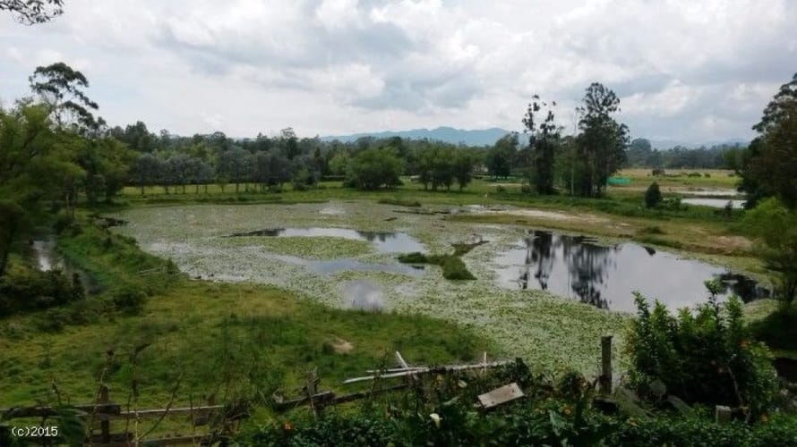 Finca en venta en Llano Grande, Rionegro, 47000 m² · foto 14 de 18