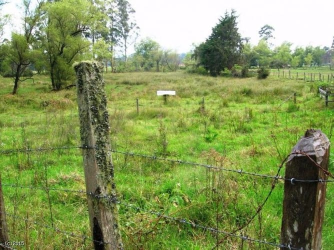 Finca en venta en Llano Grande, Rionegro, 47000 m² · foto 15 de 18