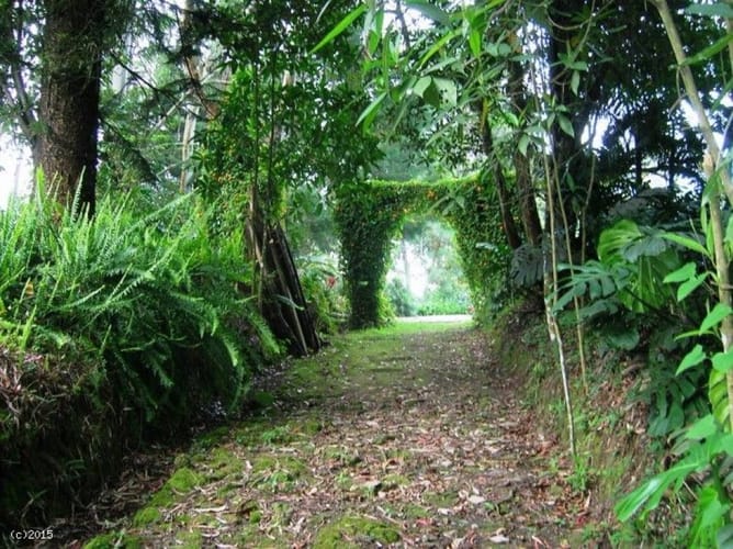 Finca en venta en Llano Grande, Rionegro, 47000 m² · foto 16 de 18