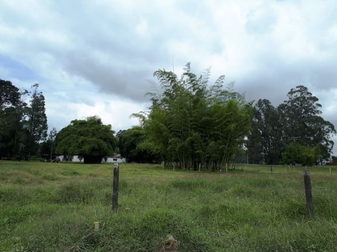 Lote en venta en El Faro, Rionegro, 43500 m² · foto 5 de 7