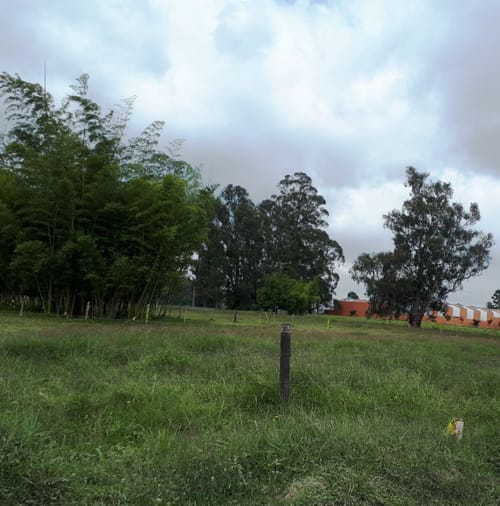 Lote en venta en El Faro, Rionegro, 43500 m² · foto 6 de 7