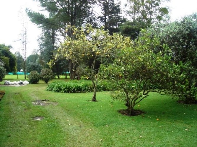 Lote en venta en El Faro, Rionegro, 43500 m² · foto 7 de 7