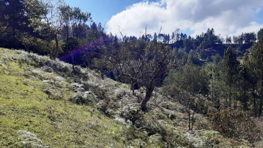 Finca en venta en La Laja, Rionegro, 50000 m² · foto 3 de 19