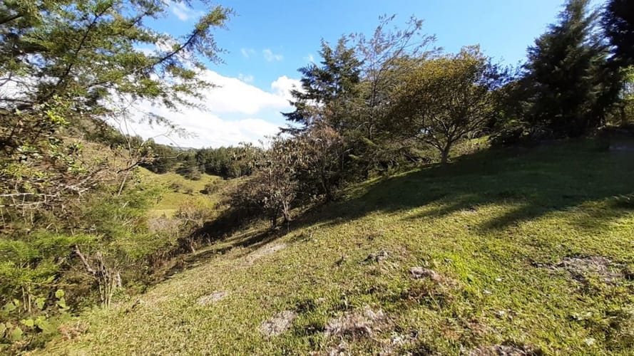 Finca en venta en La Laja, Rionegro, 50000 m² · foto 4 de 19