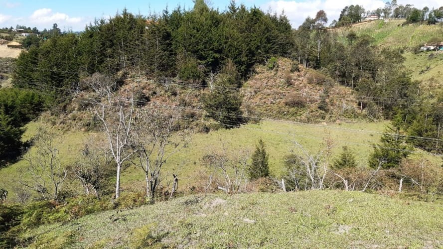 Finca en venta en La Laja, Rionegro, 50000 m² · foto 5 de 19