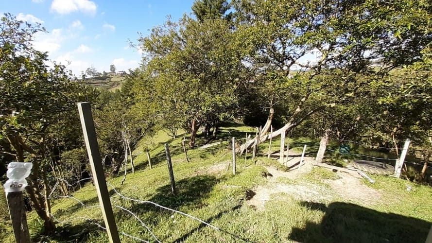 Finca en venta en La Laja, Rionegro, 50000 m² · foto 7 de 19