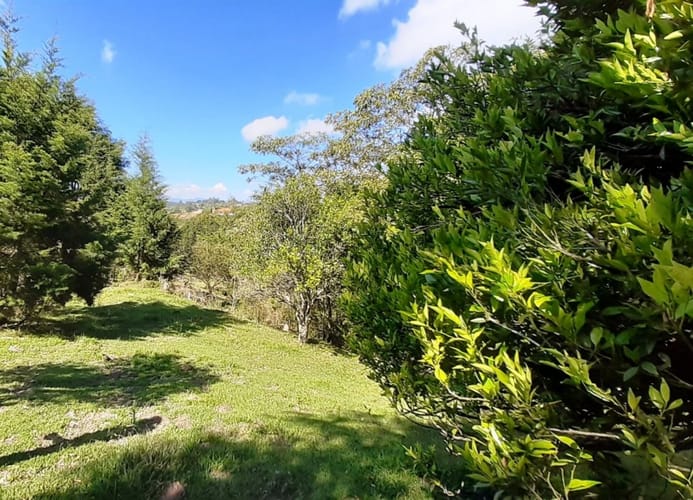 Finca en venta en La Laja, Rionegro, 50000 m² · foto 8 de 19