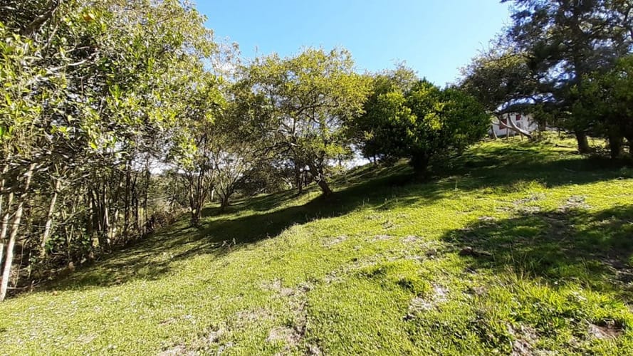 Finca en venta en La Laja, Rionegro, 50000 m² · foto 11 de 19