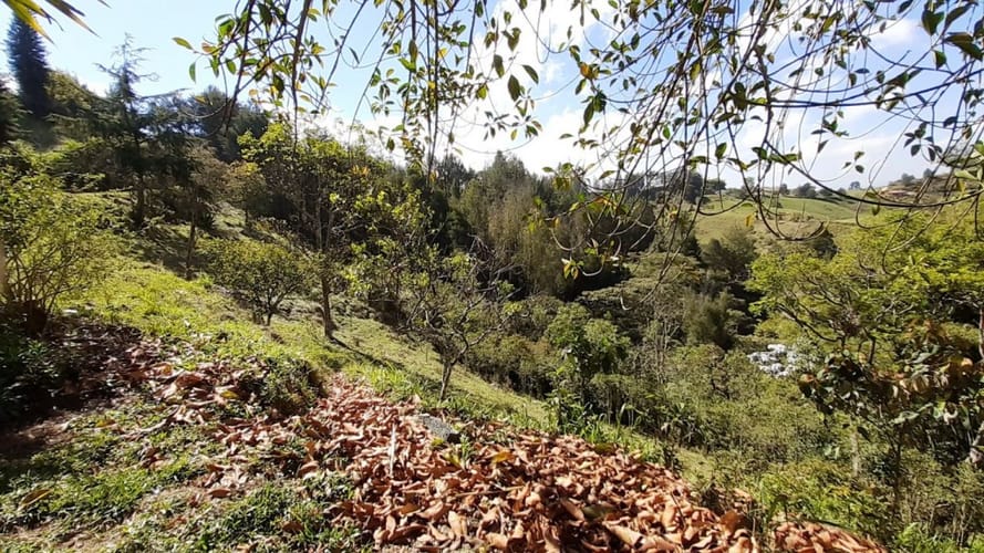 Finca en venta en La Laja, Rionegro, 50000 m² · foto 12 de 19