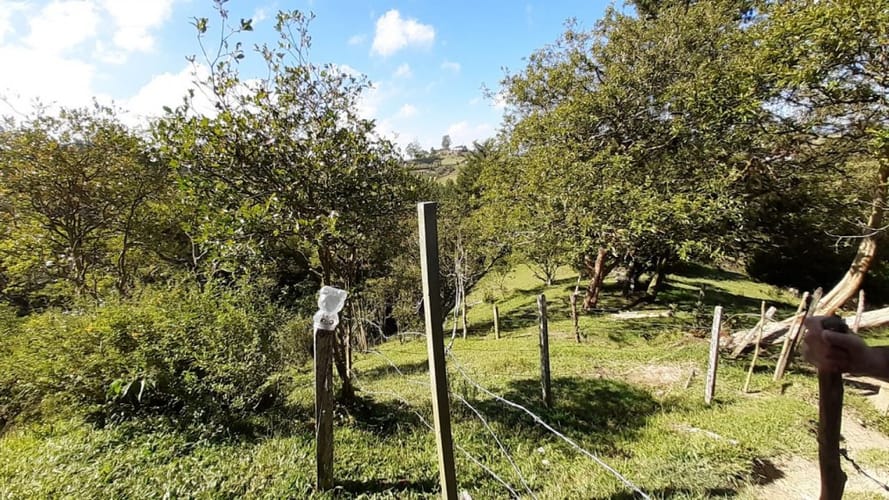 Finca en venta en La Laja, Rionegro, 50000 m² · foto 13 de 19