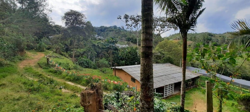 Lote en venta en Lejos Del Nido, El Retiro · foto 6 de 18
