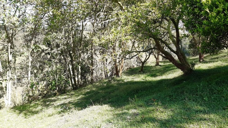 Finca en venta en La Laja, Rionegro, 50000 m² · foto 15 de 19