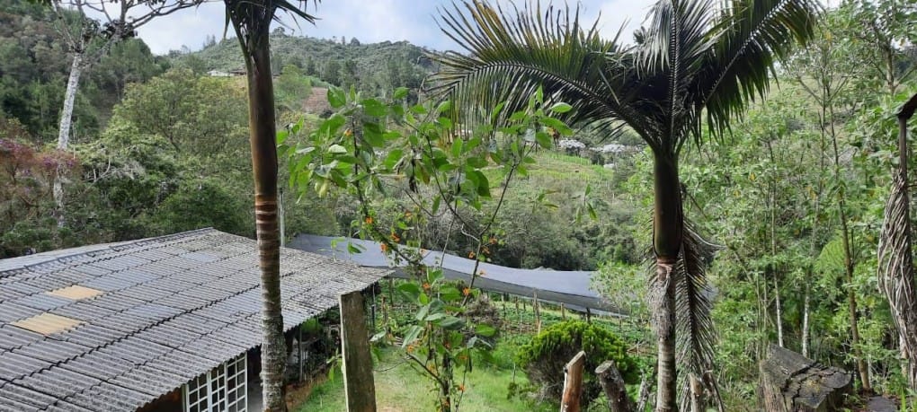 Lote en venta en Lejos Del Nido, El Retiro · foto 7 de 18