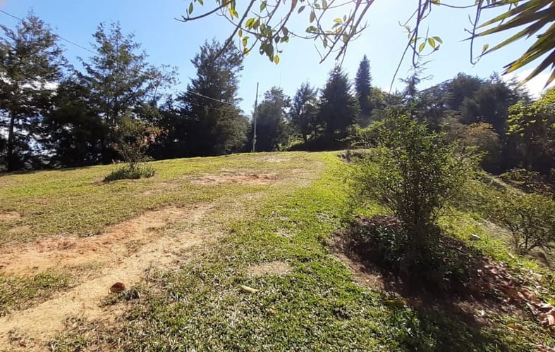 Finca en venta en La Laja, Rionegro, 50000 m² · foto 16 de 19