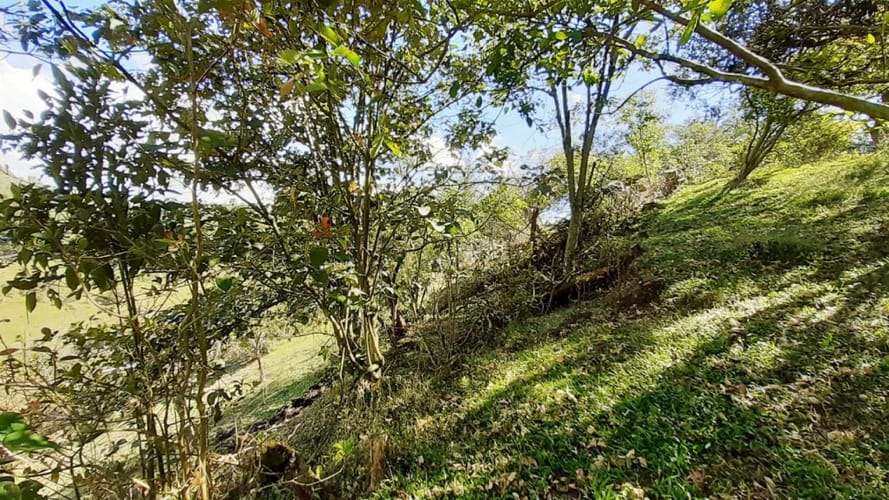 Finca en venta en La Laja, Rionegro, 50000 m² · foto 17 de 19