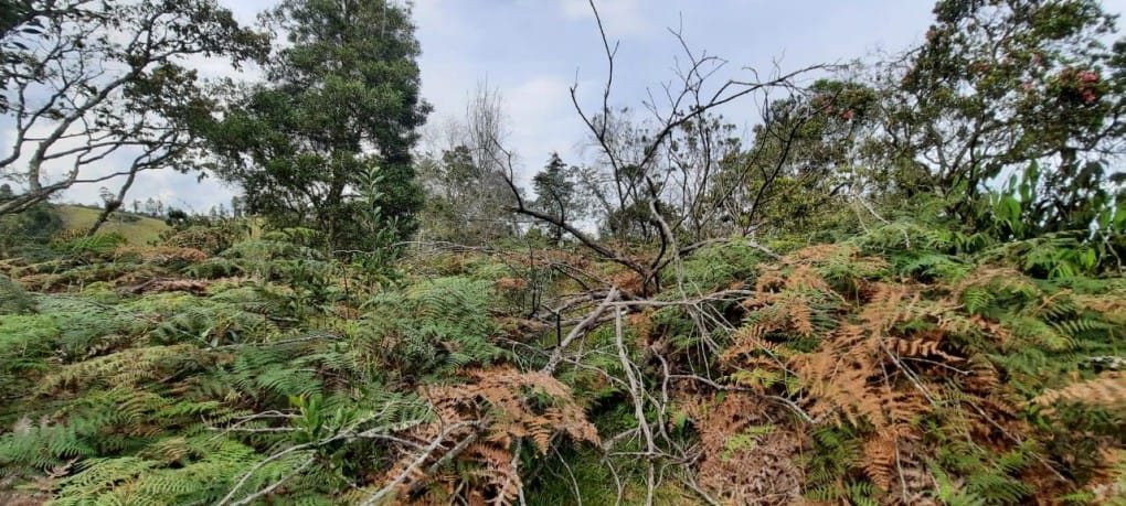 Lote en venta en Lejos Del Nido, El Retiro · foto 9 de 18