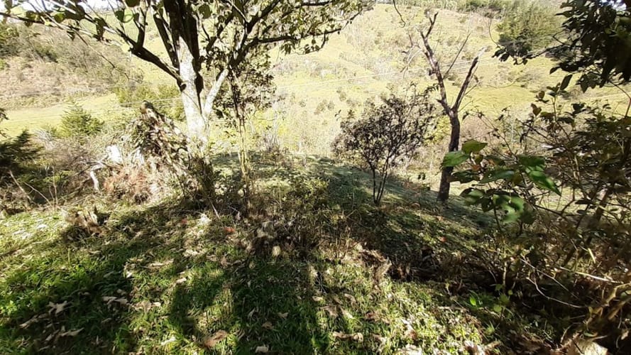 Finca en venta en La Laja, Rionegro, 50000 m² · foto 18 de 19