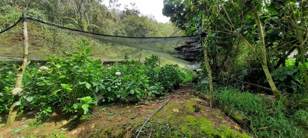 Lote en venta en Lejos Del Nido, El Retiro · foto 10 de 18