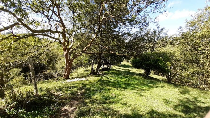 Finca en venta en La Laja, Rionegro, 50000 m² · foto 19 de 19
