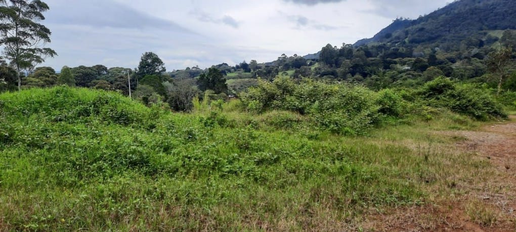 Lote en venta en Lejos Del Nido, El Retiro · foto 12 de 18