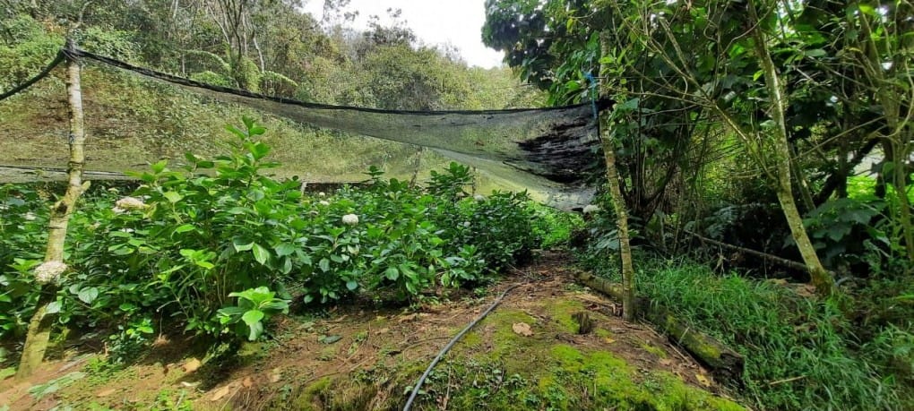 Lote en venta en Lejos Del Nido, El Retiro · foto 14 de 18