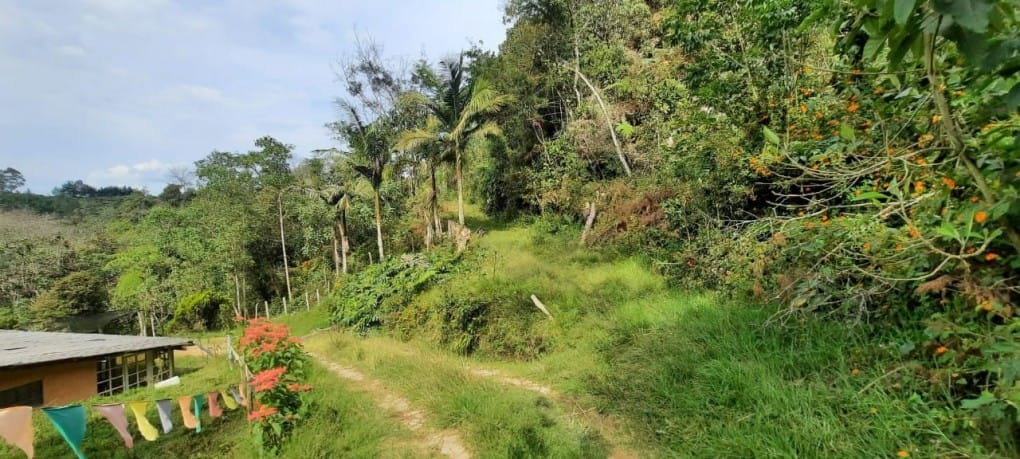 Lote en venta en Lejos Del Nido, El Retiro · foto 17 de 18