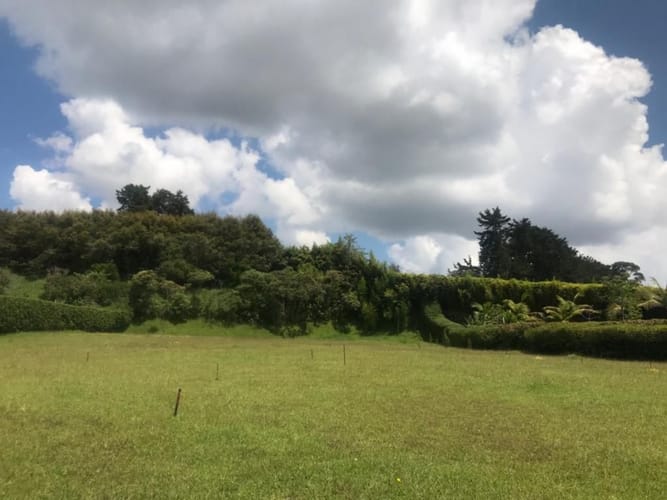 Lote en venta en Llano Grande, Rionegro, 2985 m² · foto 3 de 16