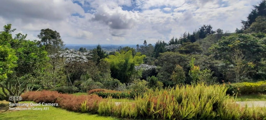 Finca en venta en Aeropuerto, Rionegro, 7200 m² · foto 5 de 19