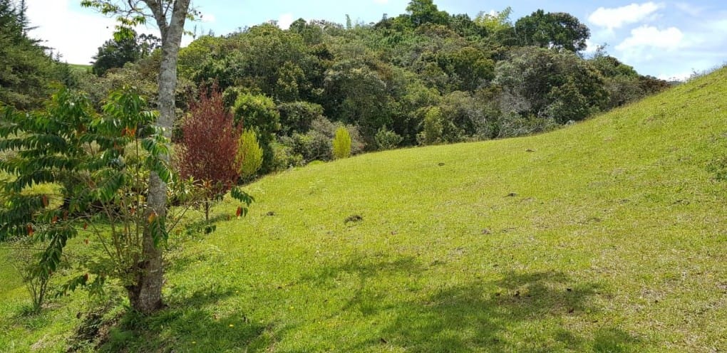 Lote en venta en La Sonadora, El Carmen de Viboral, 5200 m² · foto 2 de 16