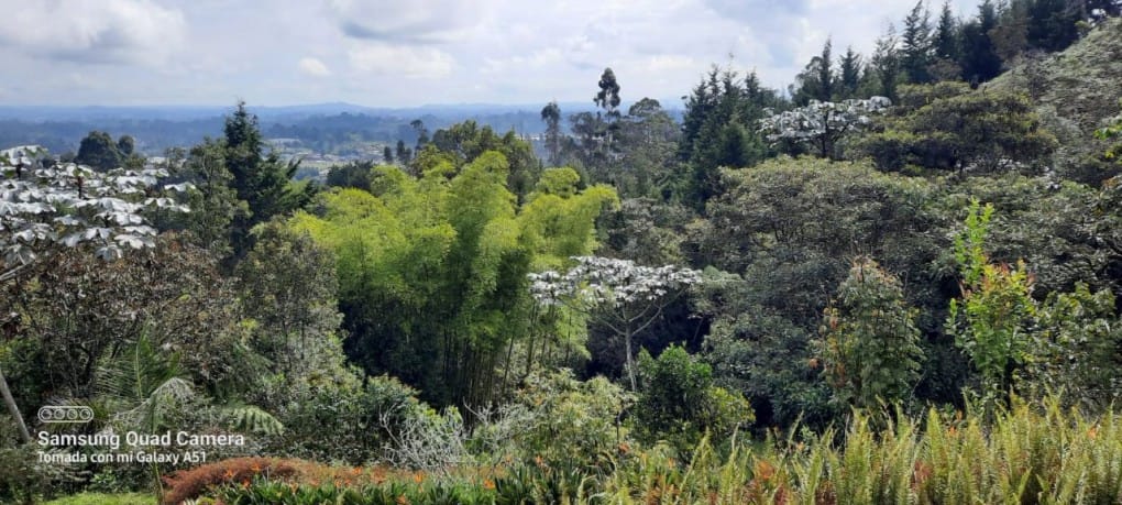 Finca en venta en Aeropuerto, Rionegro, 7200 m² · foto 6 de 19